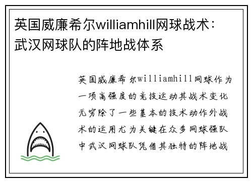 英国威廉希尔williamhill网球战术：武汉网球队的阵地战体系
