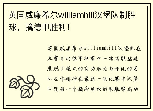 英国威廉希尔williamhill汉堡队制胜球，擒德甲胜利！